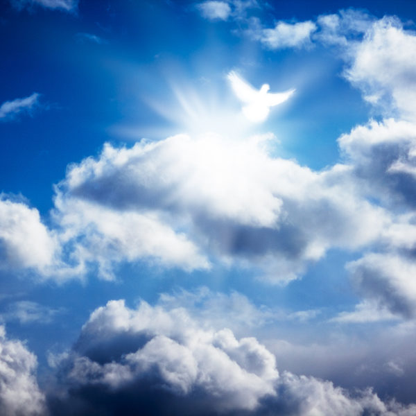 Carolina Quality Caskets