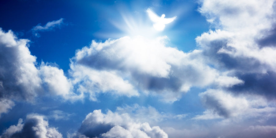 Carolina Quality Caskets